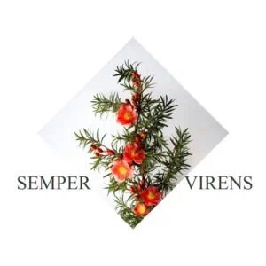 SEMPERVIRENS